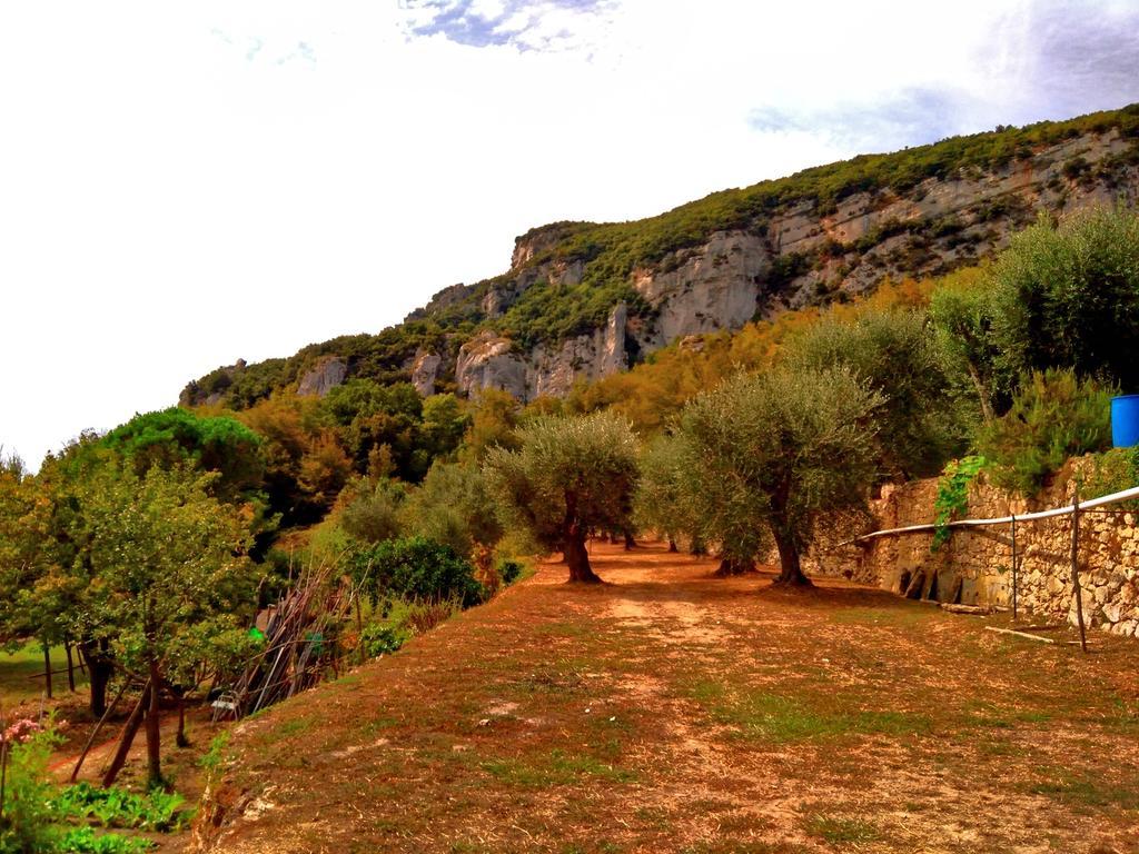 Agriturismo Ca' Magli Villa Orco Feglino Bagian luar foto